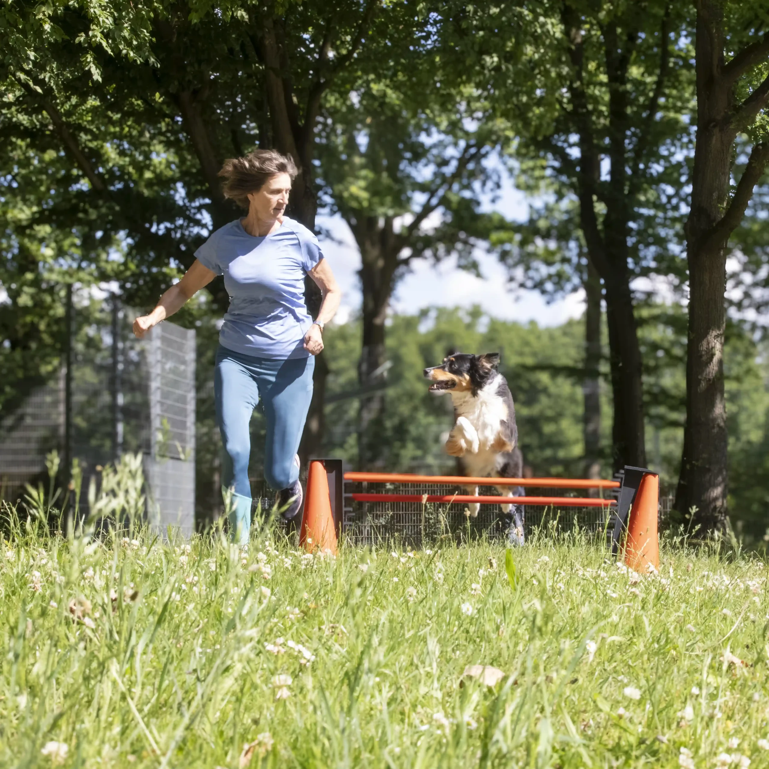 Eine Frau läuft neben einem Hund her, der auf einer grasbewachsenen Freifläche mit Bäumen und Sonnenschein über eine Hürde springt.